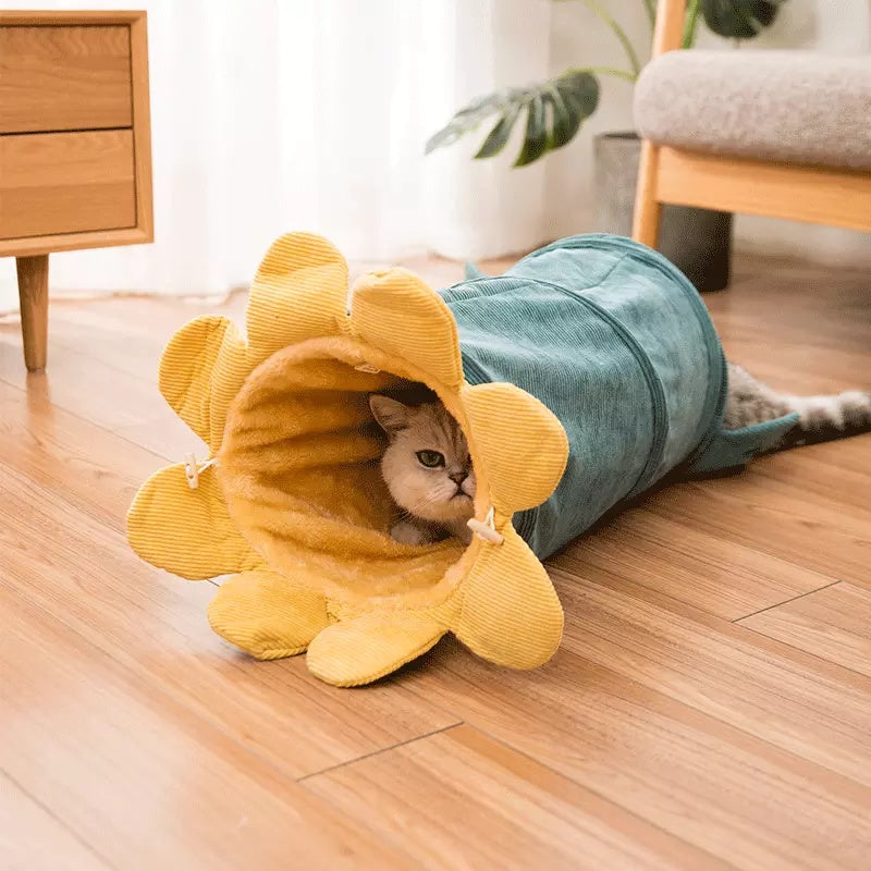 Creative Fruit Funny Pet Cat Tunnel Toy