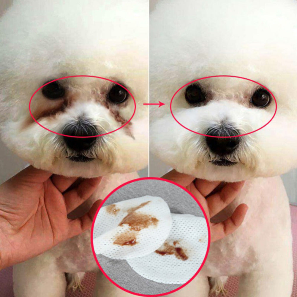 Hygienic Grooming Pet Wet Wipes