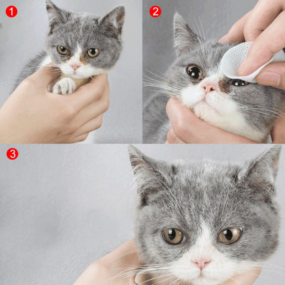 Hygienic Grooming Pet Wet Wipes