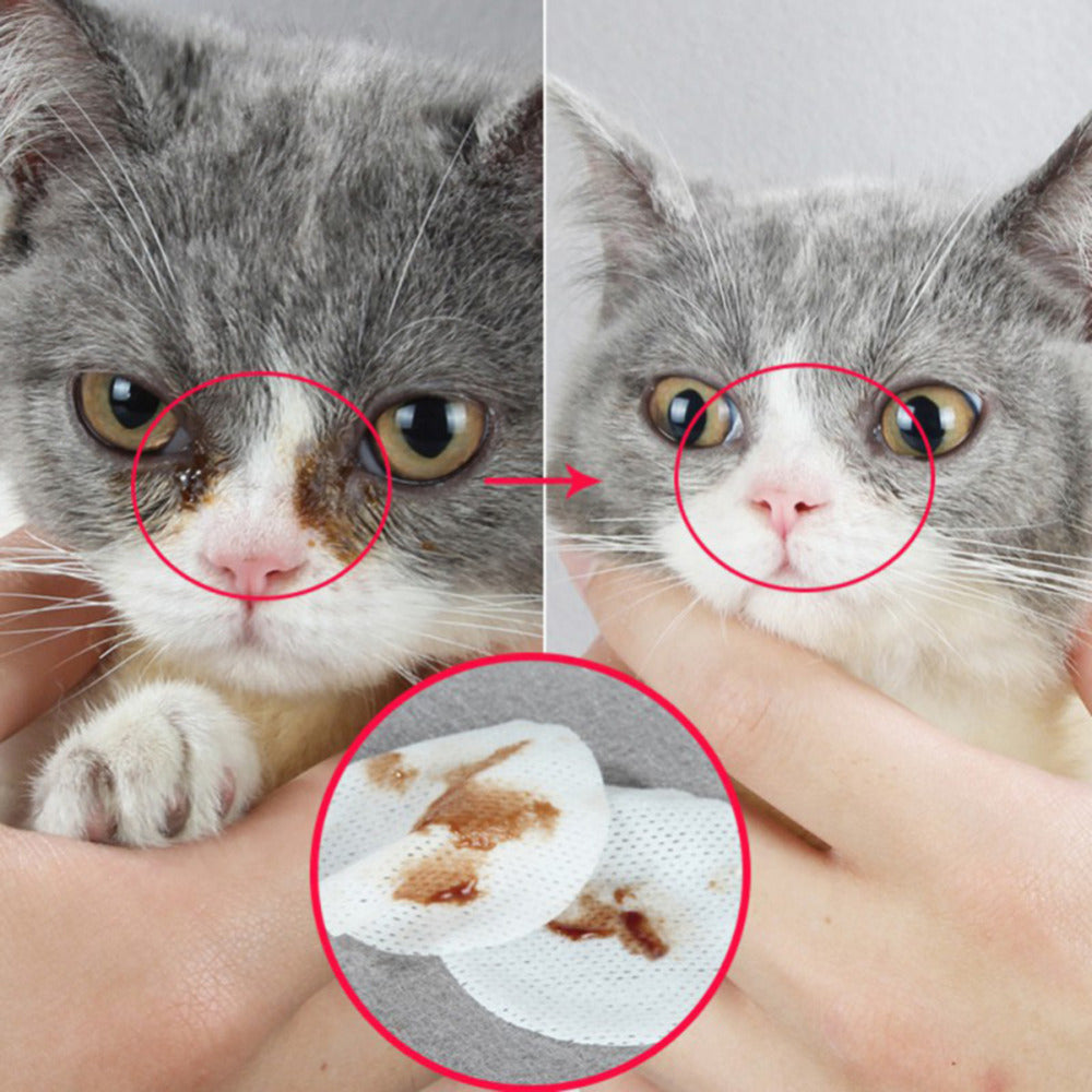 Hygienic Grooming Pet Wet Wipes