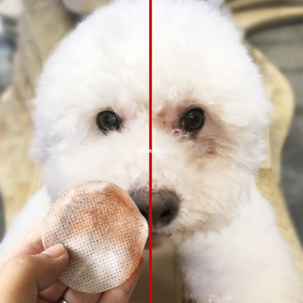 Hygienic Grooming Pet Wet Wipes