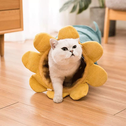 Creative Fruit Funny Pet Cat Tunnel Toy