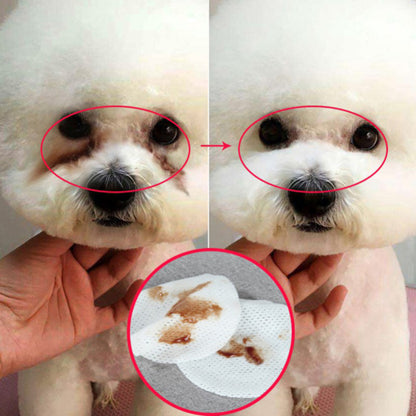 Hygienic Grooming Pet Wet Wipes