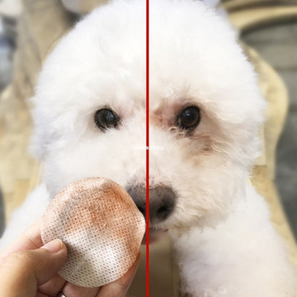 Hygienic Grooming Pet Wet Wipes