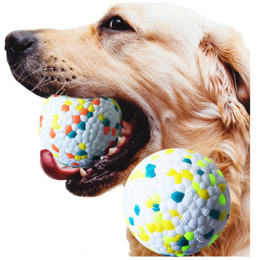 Interactive Training Pet Ball