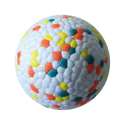 Interactive Training Pet Ball