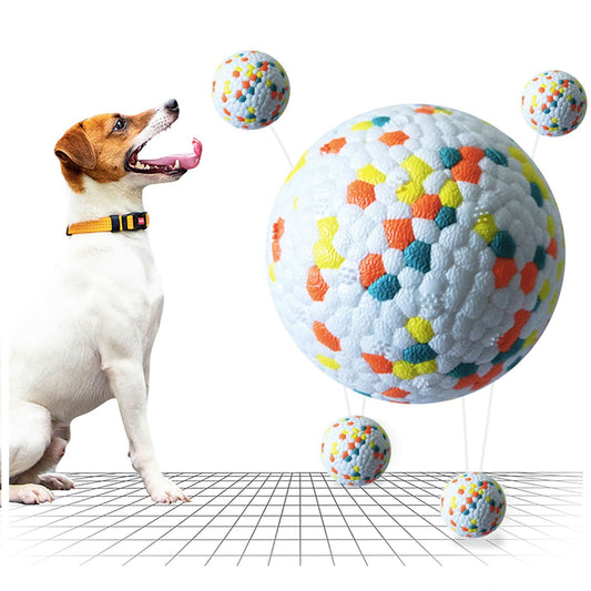Interactive Training Pet Ball