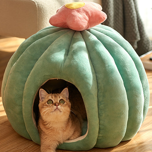 Cat Kitten Kennel Villa House